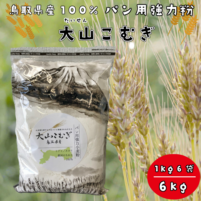 【ふるさと納税】DK01：鳥取県産大山こむぎパン用強力粉　1kg×6袋