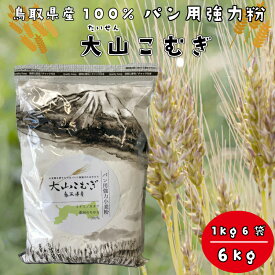 【ふるさと納税】IW01：鳥取県産大山こむぎパン用強力粉　1kg×6袋