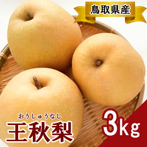 yӂ邳Ɣ[Łzv~AH@3kg@TS14