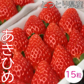【ふるさと納税】OT02：鳥取県産いちごあきひめ　ギフト箱　15粒