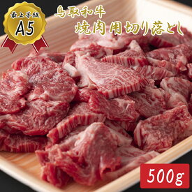 【ふるさと納税】KA07：A5等級！鳥取和牛焼肉用切り落とし500g