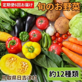 【ふるさと納税】TA02：【6回定期便】ふるさと野菜詰め合わせ