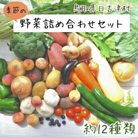 【ふるさと納税】AS01：ふるさと野菜の詰め合わせ