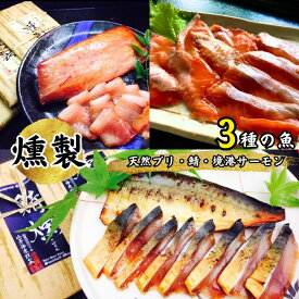 【ふるさと納税】EY06：3種の魚燻製セット（天然ブリ・鯖・境港サーモン）