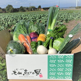【ふるさと納税】DM01：季節の野菜セット