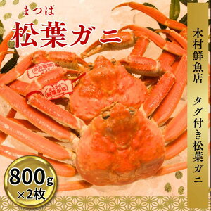 yӂ邳Ɣ[Łz挧Y ^OttKj 800gȏ 2@KI91