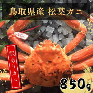 yӂ邳Ɣ[Łz挧Y 󂠂tKj  EY90