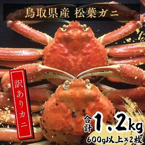 yӂ邳Ɣ[Łz挧Y 󂠂tKj 600gȏ2@EY91