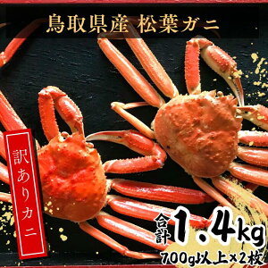 yӂ邳Ɣ[Łz挧Y@󂠂tKj@700gȏ2 EY92