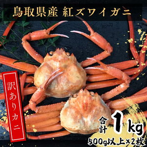 yӂ邳Ɣ[Łz挧Y 󂠂g킢 2 EY93