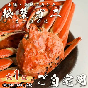 yӂ邳Ɣ[ŁzyzptKj  1 tKj t tI ܂΂  Jj ① `h uh YCKj  {C p Y Gߌ  挧 