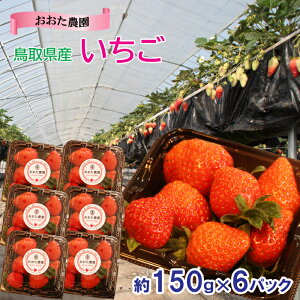 yӂ邳Ɣ[ŁzOT03F挧Y@150g×6pbN