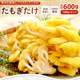 【ふるさと納税】オーガニック菌床たもぎたけ6パック　HO09