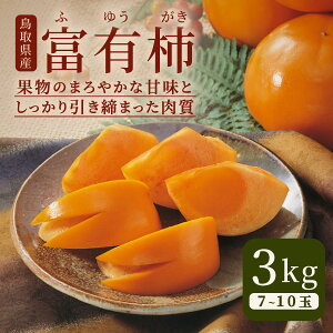 yӂ邳Ɣ[ŁzJK-03@xL` 3kgy11{`{z@@ ` Yi ʕ Ö 挧 挧Y R R yY ԗi Y  n