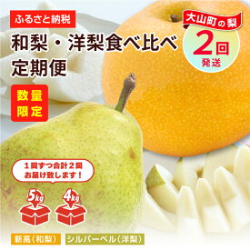 【ふるさと納税】YN-06　和梨・洋梨 食べ比べ定期便 鳥取県 鳥取県産 大山町 大山 お土産 返礼品 国産 お取り寄せ ご当地 【9月下旬以降発送】