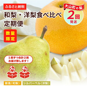 yӂ邳Ɣ[ŁzYN-06@aEm@Hהׁ@ց@Ȃ  V Vo[x Ö _  挧 挧Y R R yY ԗi Y  n y9{ȍ~