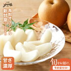 DS-03 新甘泉（しんかんせん）梨 5kg 先行予約 送料無料 鳥取県大山町 鳥取 赤梨 大玉 早生種 なし 国産 訳あり フルーツ 果物 デザート 贈答用 予約 くだもの 旬 デザート おやつ ◆※2024年8月中旬～9月下旬頃に順次発送予定