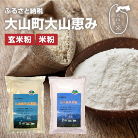 【ふるさと納税】MR-02　大山恵み米粉・玄米米粉 セット（500g×2） 米粉 米 製菓用 料理用 業務用 家庭用 鳥取県 鳥取県産 大山町 大山 大入り 料理 米粉パン お菓子用 国産 お菓子作り 鳥取 上新粉 コシヒカリ こしひかり 大山米粉 大山産