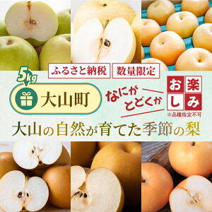 yӂ邳Ɣ[ŁzDS-26@R̎RĂG߂̗ 5kg@Ȃ { y Zbg ȂЂ Â@@쐅 H 挧 挧Y R R yY ԗi Y  