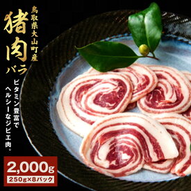 【ふるさと納税】GB-08　猪肉　バラ　2kg（250g×8パック） ジビエ 肉 お肉 鳥取県 鳥取県産 大山町 大山 お土産 返礼品 国産 お取り寄せ ご当地