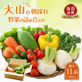 【ふるさと納税】MS-02 新鮮朝採れ野菜セット 新鮮 鳥取県 鳥取県産 大山町 大山 サラダ 常温保存 くだもの やさい 野菜加工品 バラエティセット 料理