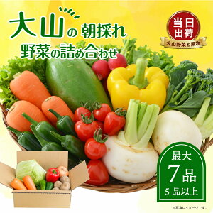 yӂ邳Ɣ[ŁzMS-01 VN̂؁@育Zbg ؋lߍ킹   ʕEHi ǂ ؃Zbg lߍ킹 ؉Hi oGeBZbg  VN 挧 挧