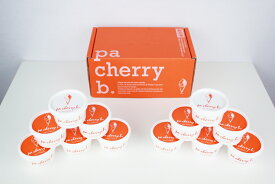 【ふるさと納税】PC-02　pa cherry b. パッチェリービー ジェラート12個セット ジェラート 90ml×12個 大山プレミアムミルク アマレーナ ピスタチオ チョコレート 珈琲 ラムレーズン 各2個 アイスクリーム アイス 詰め合わせ 食べ比べ スイーツ 鳥取県 大山町 大山