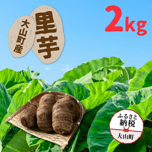 yӂ邳Ɣ[ŁzTY-01 RY2kg  ^J~mTC 挧 挧Y R R yY ԗi Y  n