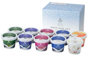 yӂ邳Ɣ[ŁzMS-74@RƂ̃ACXN[lߍ킹unՁvi10j 挧 挧Y R R yY ԗi Y  n