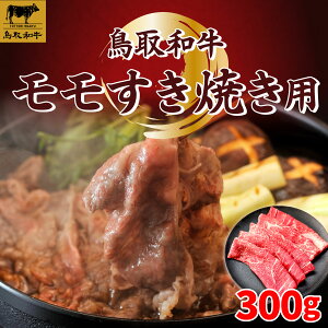 yӂ邳Ɣ[ŁzSFM-02 aĂ300g a a  | Ⓚ 挧 挧Y R R RYyY ԗi Y  i  n