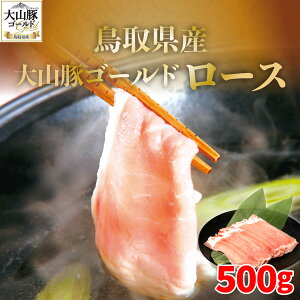 yӂ邳Ɣ[ŁzSFM-06 挧YR؃S[h[X500g R؃S[h  | Ⓚ 挧 挧Y R R RYyY ԗi Y  i  n