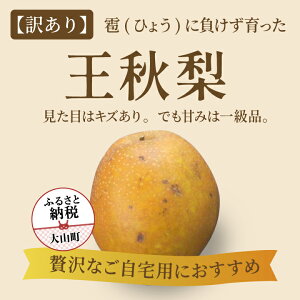 DS-27y󂠂藜zuЂ傤v̔Q󂯂Ă͋H 5kg Ȃ IWi t[c 挧 挧Y R R yY ԗi Y  n