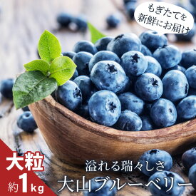 【ふるさと納税】MS-32 新鮮生ブルーベリー1kg（7月採れ） 限定 限定品 鳥取県 鳥取県産 大山町 大山 お土産 返礼品 国産 お取り寄せ ご当地