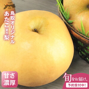 yӂ邳Ɣ[Łz 5kg  挧 挧Y R R  ʕ t[c iV Â ʏ` a  Â  Y ʓ Â ԗi 旜 Ȃ DS-10