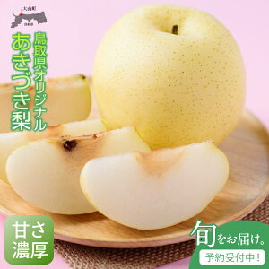 yӂ邳Ɣ[ŁzÂ 5kg蒹挧 挧Y R R  ʕ t[c iV Â ʏ` a  Â  Y G ԏG Â Ȃ ʎ ʌ ԗi  y9