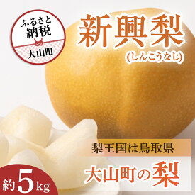 【ふるさと納税】新興 しんこう 梨 5kg 梨 5kg入り鳥取県 鳥取県産 大山町 大山 梨 果物 フルーツ ナシ 甘い 果汁 和梨 箱 甘み くだもの 国産 青秀 赤秀 新興梨 なし 果実 数量限定 DS-07