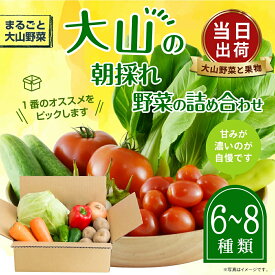 【ふるさと納税】MS-01 新鮮朝採れ野菜 お手頃セット 鳥取県 鳥取県産 大山町 大山 サラダ 常温保存 くだもの やさい 6〜8種類
