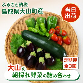 【ふるさと納税】MS-03　新鮮朝採れ野菜セット　お手頃セット頒布会（計3回） 季節 野菜詰め合わせ 野菜 生野菜 加工品 朝どれ野菜 野菜セット 詰め合わせ 野菜加工品 バラエティセット 料理 新鮮 鳥取県 鳥取県産 大山町 大山 サラダ 常温保存 くだもの やさい 6種類以上