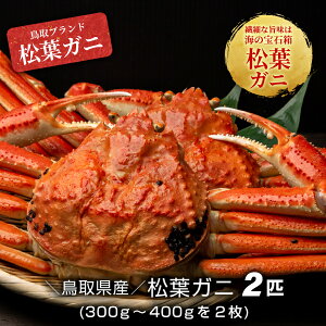 yӂ邳Ɣ[ŁzyⓀz{CtKji300g`400g2j 3|4lO@挧Y tKj YCKj  tI 킢Ɂ@Jj t I  CN  挧 R y11