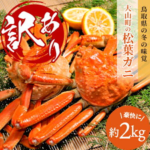 yӂ邳Ɣ[Łzy󂠂ztKj2kglߍ킹iⓀj3|5lO@挧Y tKj  KiO YCKj  tI 킢 s LY t I  CN  