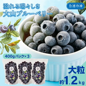 yӂ邳Ɣ[ŁzMS-30@Ⓚu[x[1.2kg 400gpbN×3  ^pbN VN V[xbg 挧 挧Y R R yY ԗi Y  n
