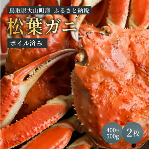 yӂ邳Ɣ[Łzyyz{CtKji400g`500g2j 3|4lO@挧Y tKj YCKj  tI 킢Ɂ@Jj t I  CN  挧 R