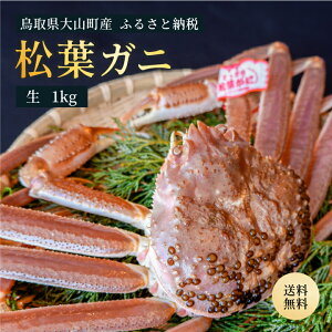 yӂ邳Ɣ[Łzuh^Ot@tKji1kgj3|4lO 挧Y  tKj YCKj  tI 킢Ɂ@Jj t I  CN  挧 R