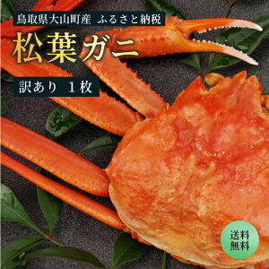 yӂ邳Ɣ[Łzy󂠂zyyz1{܂{CtKji600`700g1) 3-4lO@挧Y tKj  KiO YCKj  tI LY t I CN Ry11