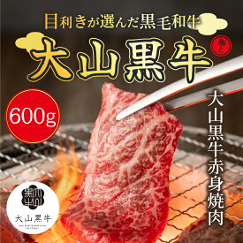 【ふるさと納税】HA-06　大山黒牛赤身焼肉　600g　黒毛和牛 和牛 牛 旨み 冷凍 鳥取県 鳥取県産 大山町 大山 大山産お土産 返礼品 国産 高級 高級品 お取り寄せ ご当地