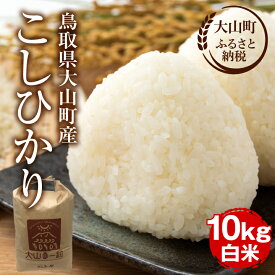 【ふるさと納税】MS-98 大山町産こしひかり【大山の一粒】10kg（白米） 米 料理用 家庭用 鳥取県 鳥取県産 大山町 大山 大入り 料理 国産 鳥取 コシヒカリ こしひかり 大山産