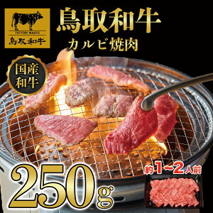 yӂ邳Ɣ[Łz DN-012-004 aēpJr250g Jr Jr Zbg ē 挧 挧Y 拍 R R yY ԗi Y Y  i Jbg  n