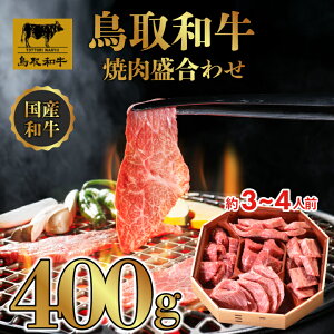 yӂ邳Ɣ[ŁzDN1884 a 5̕ ē킹 400g   ēZbg o[xL[ ē BBQ 挧 挧Y 拍 R R yY ԗi Y  i  