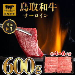 yӂ邳Ɣ[ŁzDN0389 a T[C ԂԁEĂ 600gi300g×2Pj  Ԃ Ă ύݗ 挧 挧Y 拍 R R yY ԗi Y  