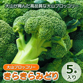 【ふるさと納税】MS-27　大山ブロッコリー「きらきらみどり」5本入り